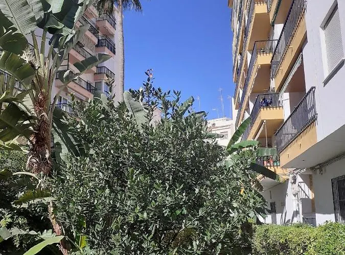 Apartment Albaida Ii Bajo G *